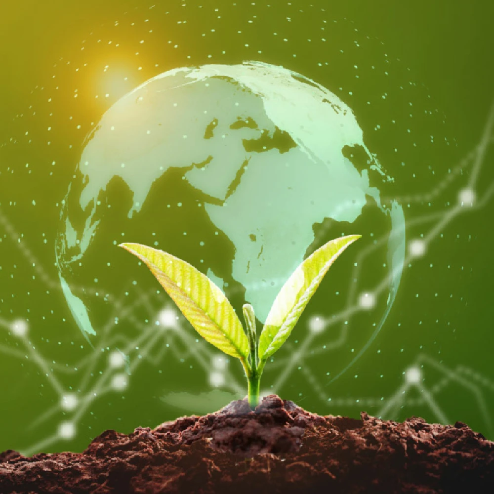 A plant sprouting in front of a digital globe and surrounded by datapoints.
