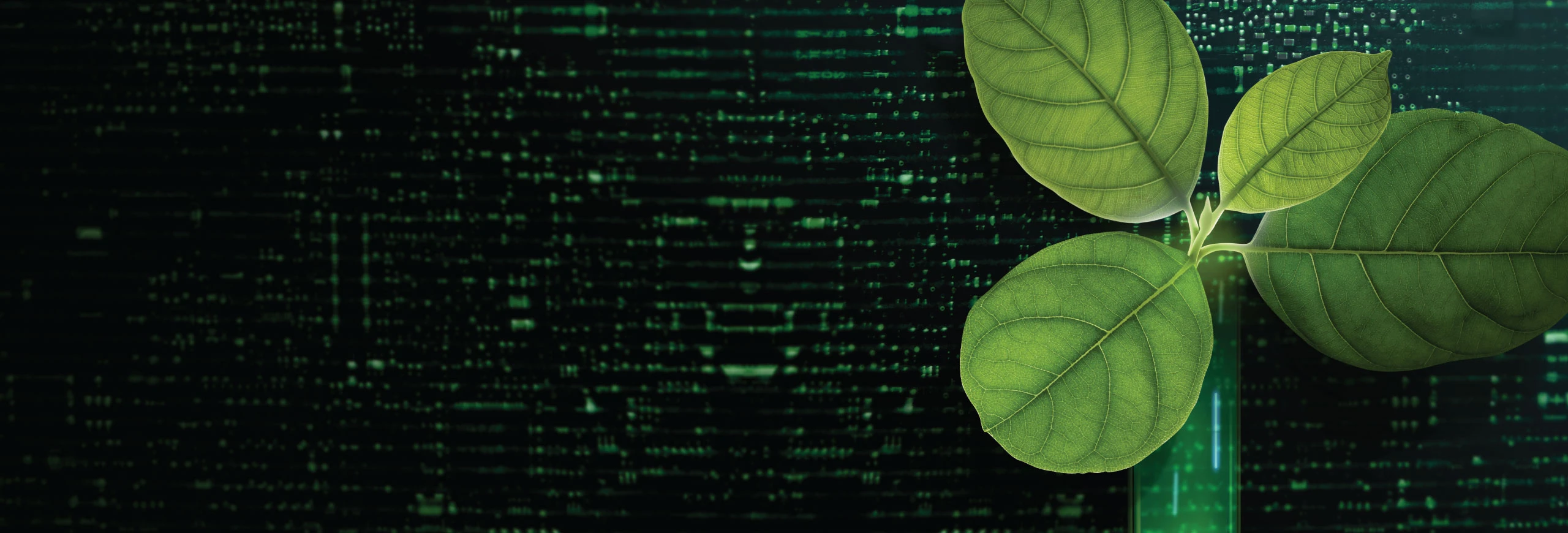 Technological background with a green plant sprouting.
